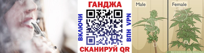 Бошки марихуана Bruce Banner Урень
